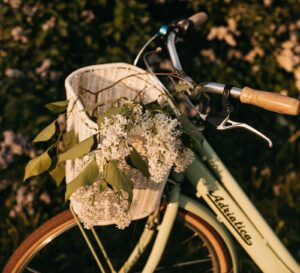 A mint green bicycle with a white wicker basket full of white lilacs, parked beside a flowering lilac bush in warm evening light